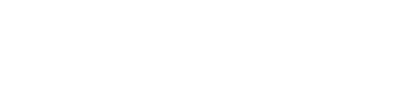 logo_light